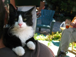 Hop harvest companion