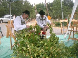 These curious migrant hop pickers got to work