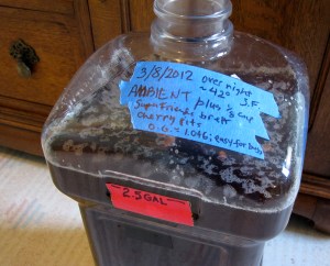 small-ambiant-pasta-beer