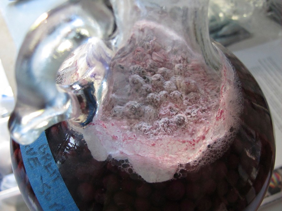 Dividing into small batches lets you do special fruit flavors or making blending variations