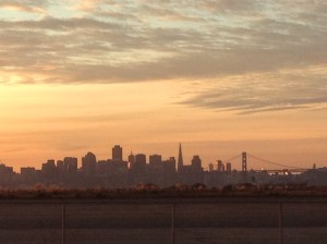 View of San Francisco from Faction Brewing on Alameda Island. Photo by Gail Ann Williams