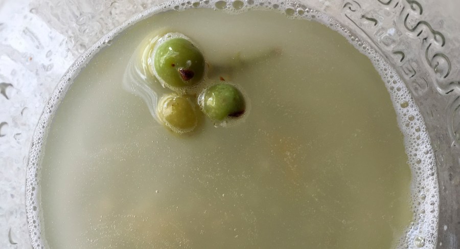 PCT-manzanita-crop-2015